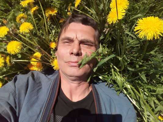  ,   , 62 ,   