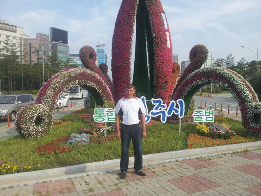  Ch'ongju,   Ulugbek, 51 ,   ,   , c 