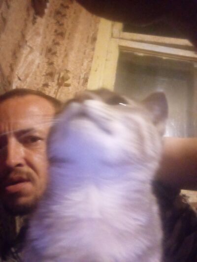  ,   , 38 ,   ,   , c , 