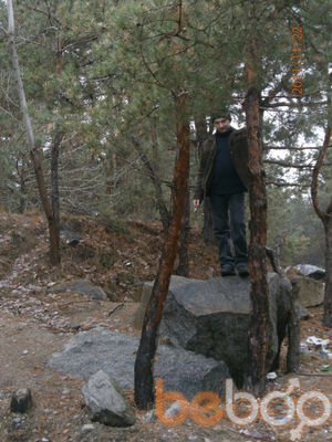  ,   , 41 ,   