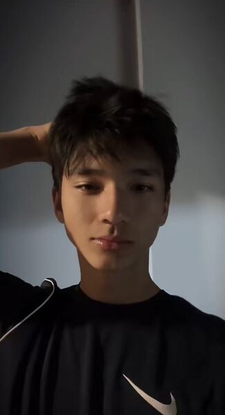  ,   Arsen, 20 ,   ,   