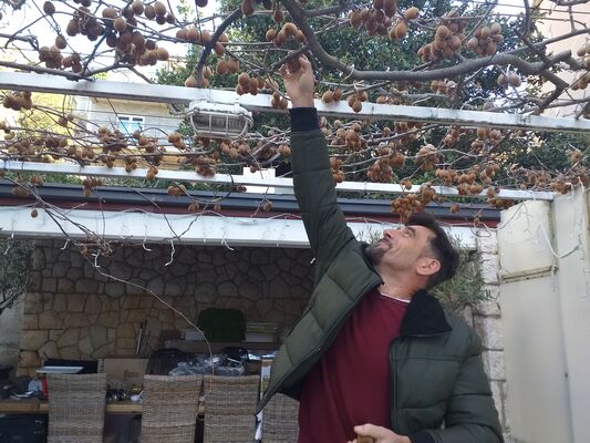  Budva,   , 54 ,   ,   