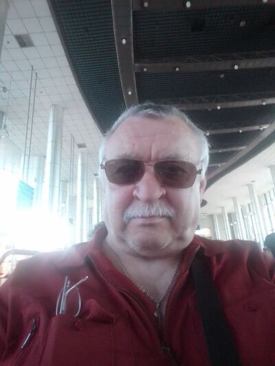  Marktheidenfeld,   , 66 ,   ,   