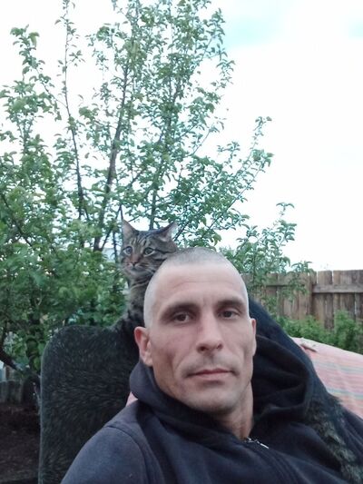  ,   , 41 ,   ,   , c , 
