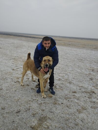  ,   Hrayr, 26 ,   ,   