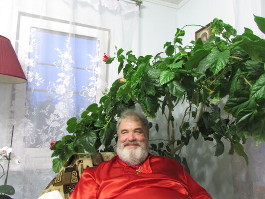  ,   , 71 ,   