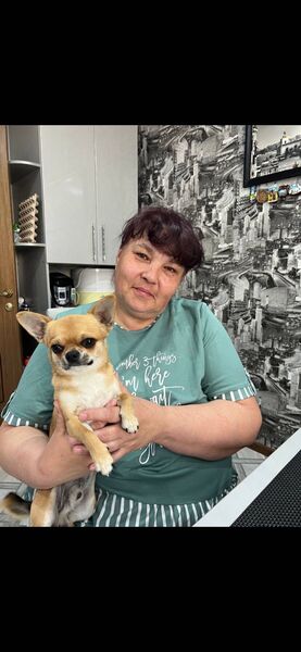  --,   , 58 ,   ,   , c 