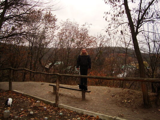   ,   , 54 ,   