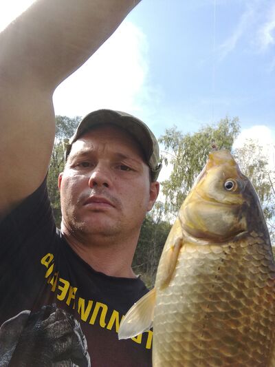  ,   , 37 ,     , c , 