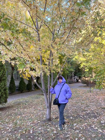  ,   , 53 ,   ,   , c , 