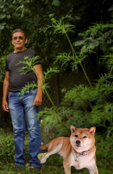 ,   , 63 ,   ,   