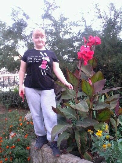 ���������� ������, ���� ������� ���, 36 ���, ������������ ��� ������, ����� � ���������, c�������� ���������