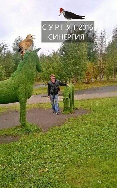  ,   , 53 ,     , c 