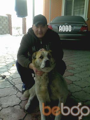  ,   Timyr, 40 ,     , c 