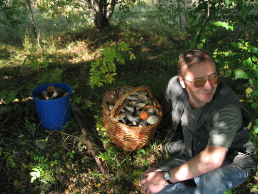  ,   , 56 ,   