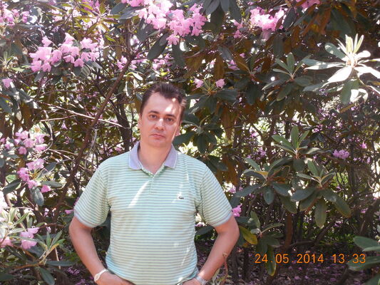 ,   , 55 ,   
