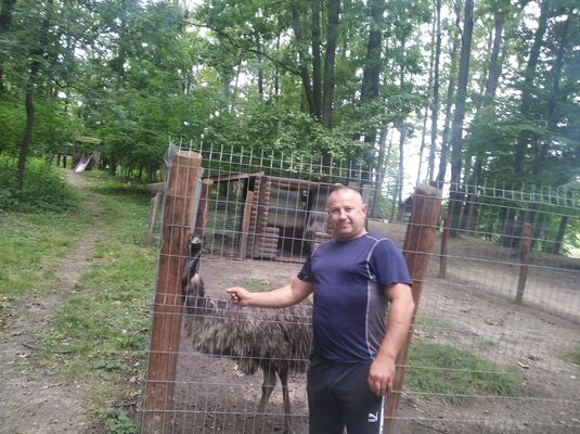  ,   Ostap , 101 ,   ,   