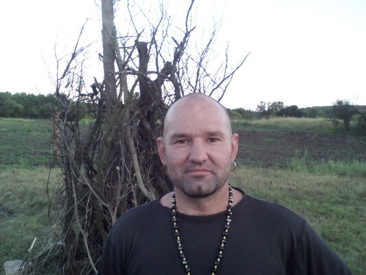   ,   , 46 ,   