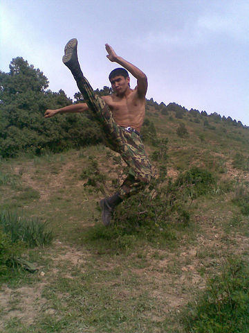  ,   Olim, 35 ,   