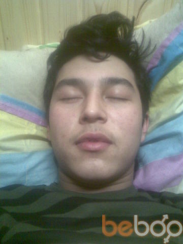 ,   Bek, 33 ,     , c 