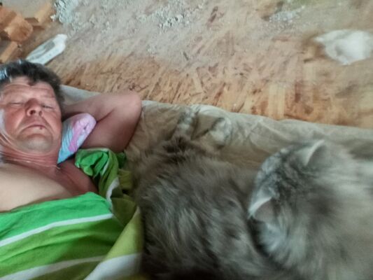  ,   , 59 ,   ,   , c 