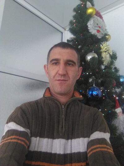  Alba Iulia,   Petrea, 41 ,   ,   , c 