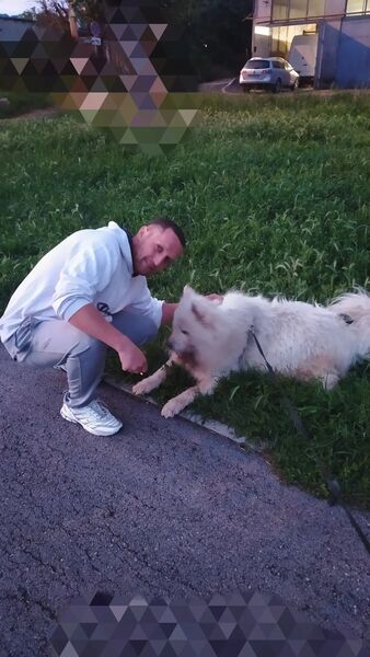  Anqing,   , 36 ,   ,   , c , 