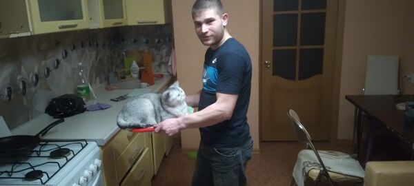  ,   , 29 ,   ,   , c , 