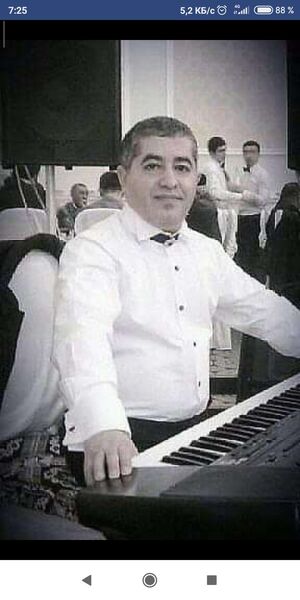  ,   Elman, 50 ,     , c , 