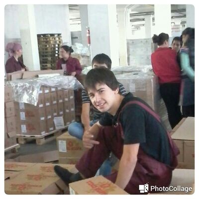  ,   Bobur, 31 ,   ,   , c 