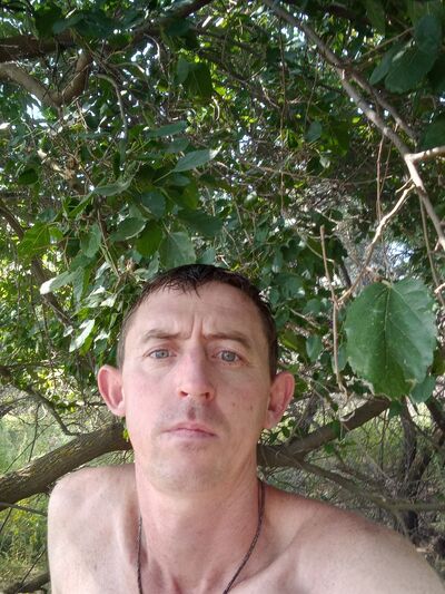  ,   , 38 ,     , c 