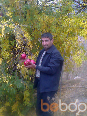  ,   , 45 ,   