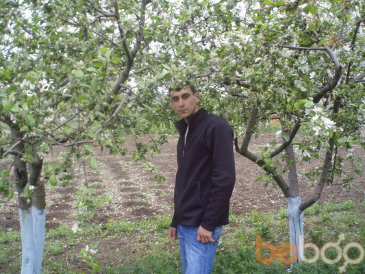  ,   ARMAGIDON, 41 ,     , c 