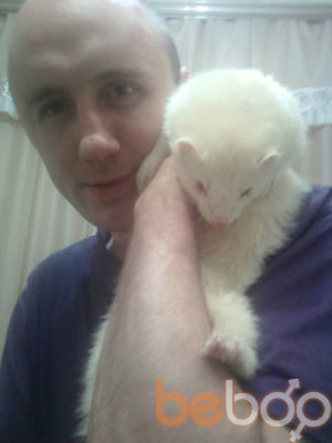 ���������� ���������, ���� ������� ����, 42 ����, ������������ ��� ������, ����� � ���������, c�������� ���������