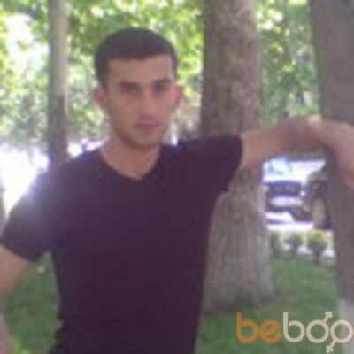  ,   Krasavcik, 37 ,   ,   , c 