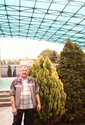  ,   , 66 ,   ,   , c 
