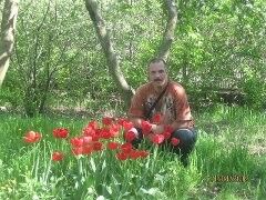  ,   , 49 ,   