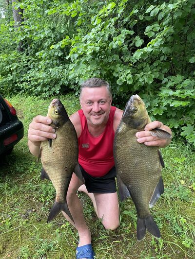  ,   , 53 ,   ,   , c , 