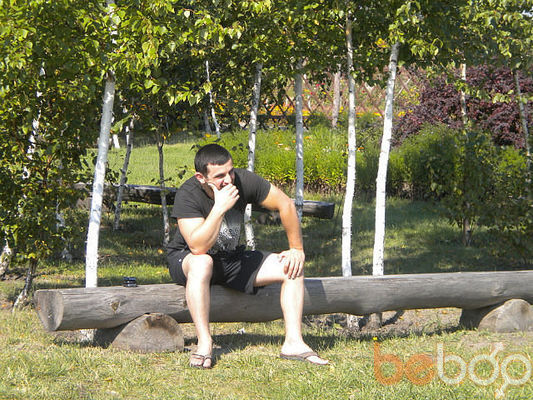  ,   Shiraz, 41 ,     , c 