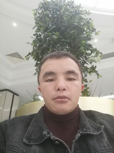  ,   Ali, 29 ,     , c 