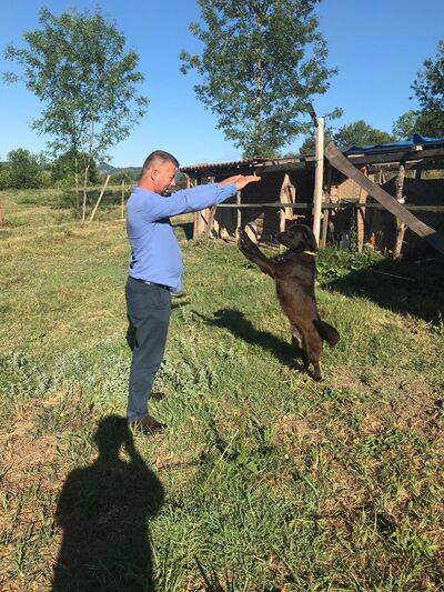   ,   Daryus, 45 ,   ,   