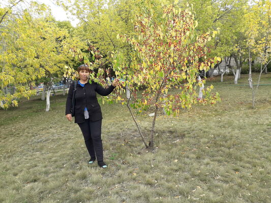 ,   , 54 ,   