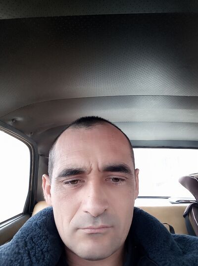 ,   ˸, 41 ,   ,   , c 