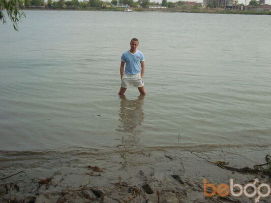  ,   Gavr, 43 ,   
