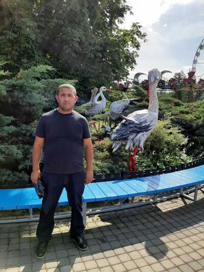  -,   , 45 ,   ,   