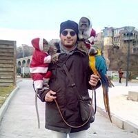  ,   Fhoto, 36 ,   ,   , c 