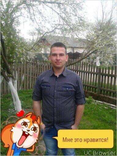  -,   , 29 ,   