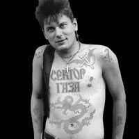  8447883  , 29 ,    -