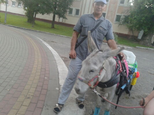  ,   , 57 ,   ,   , c , 