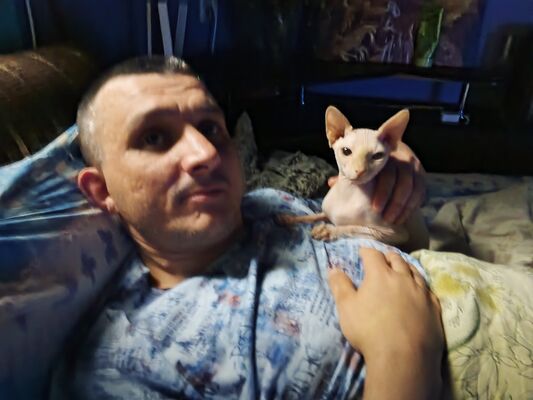  ,   , 40 ,   ,   , c , 